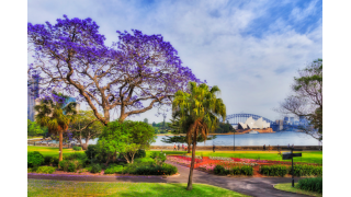 Sydney (Australia) lãng mạn nên thơ